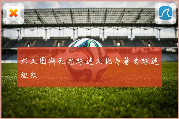 尤文图斯死忠球迷文化与著名球迷组织