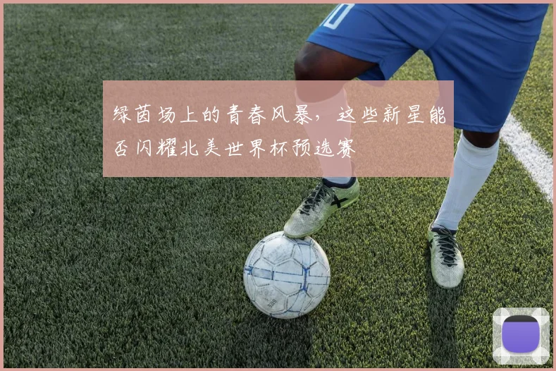 绿茵场上的青春风暴,这些新星能否闪耀北美世界杯预选赛